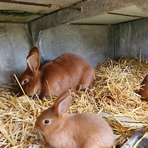 La Ferme De Lec'h Hameury , Plestin-les-Grèves France